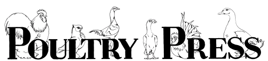 poultrypress.com
